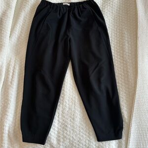 Aritzia Cropped Jogger Trousers